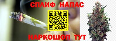 марихуана Будённовск