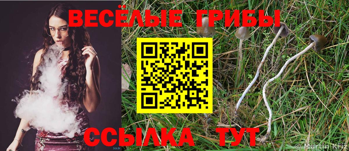Псилоцибиновые грибы Magic Shrooms Сальск
