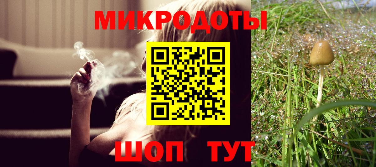 Сальск  Галлюциногенные грибы Psilocybine cubensis  Вход с VPN 